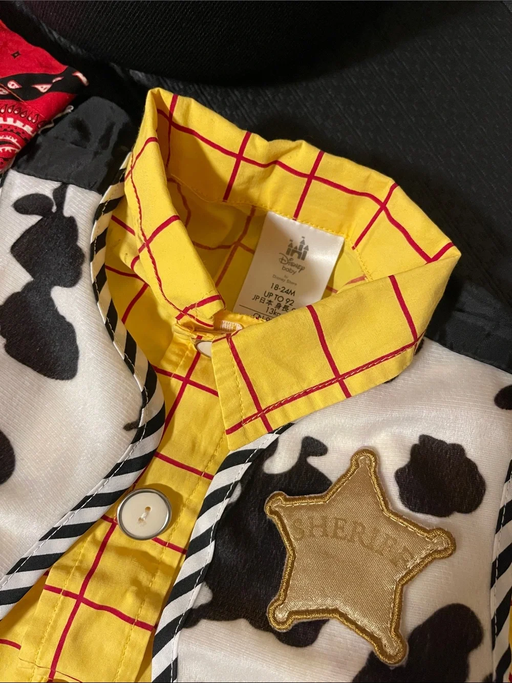 Toy Story- 2T Woody costume